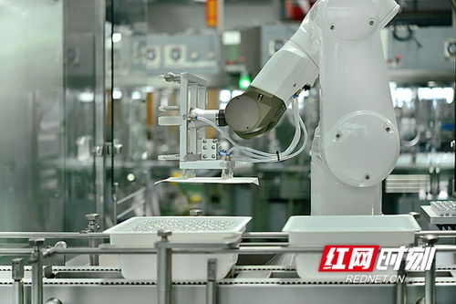 抢占智高点 智能制造驱动宁乡经开区高质量发展，智能机器人研发成引擎