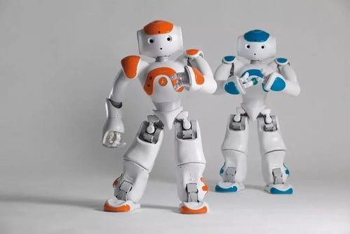 双臂协作机器人 智能机器人管家的雏形与未来发展趋势